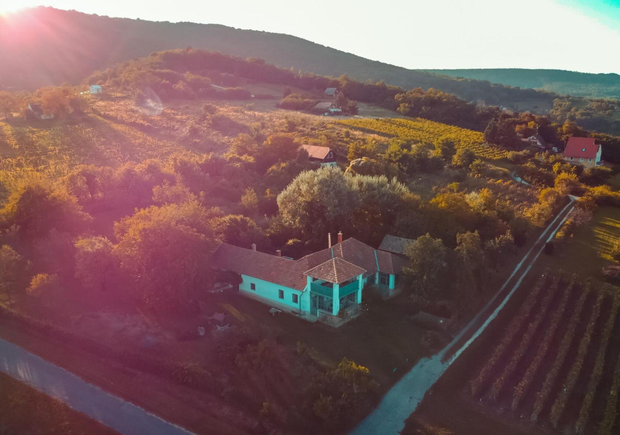Apartment Bardio Birtokhaz - Koerpanorama Lesenceistvand